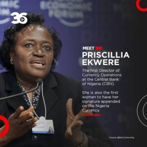 Priscilla Ekwere Eleje historic Central Bank record remains